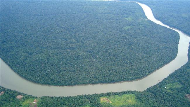 Climate change could kill half of wildlife: Study