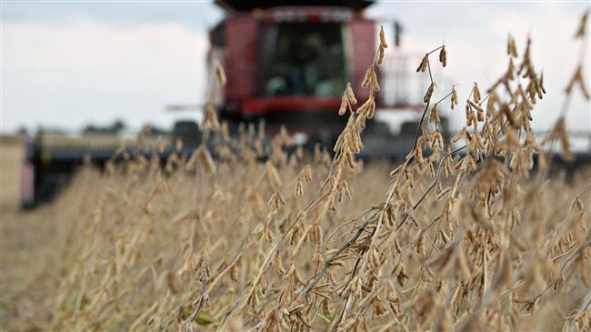 China trade war: US farmers in 'precarious position'