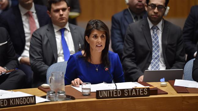 US troops not leaving Syria until goals achieved: Haley