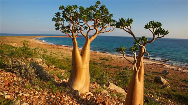 Saudi troops replace Emiratis in Yemen's Socotra 