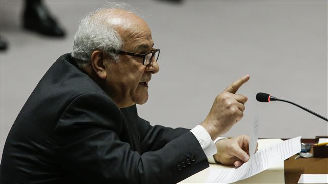 Palestine calls on UN to probe Israeli killings of Gazans