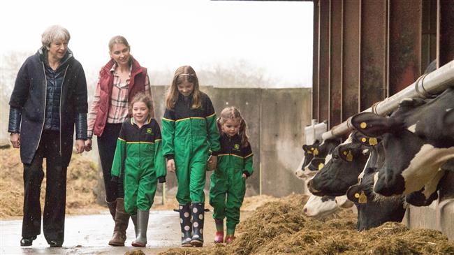 UK to run out of food after no-deal Brexit