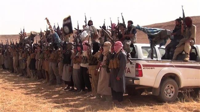 20,000-30,000 Daeshis left in Iraq, Syria: UN report