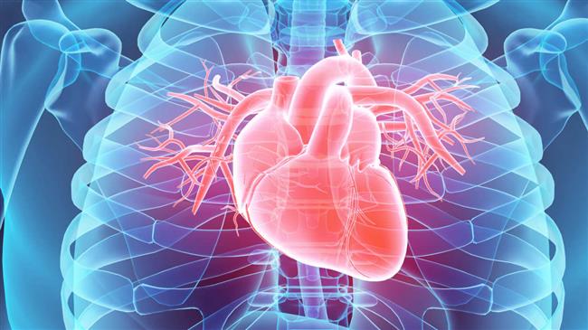 78% of adults face early death in England: Study