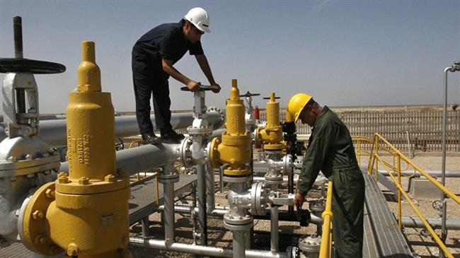 Iran to look inside to ward off impacts of sanctions  