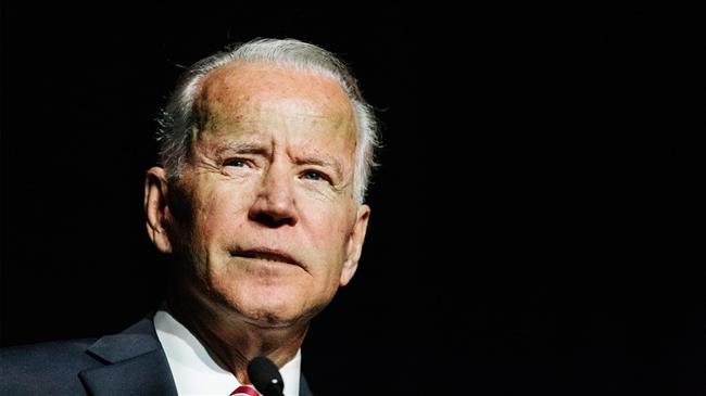 Biden: Establishment's great white hope to stop Sanders