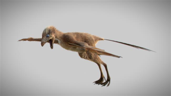 A new dinosaur: Flying without feathers