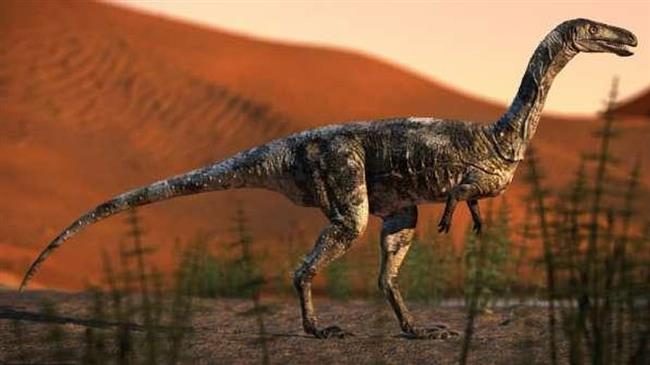 Researchers find new dinosaur species in NW Brazil 