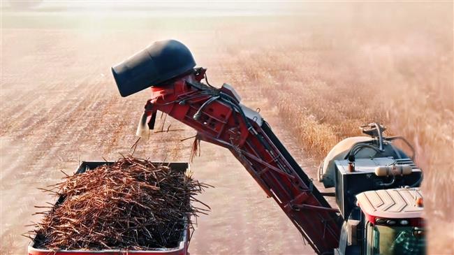 The other side of the coin at Iran's Haft-Tappeh Sugarcane Plant