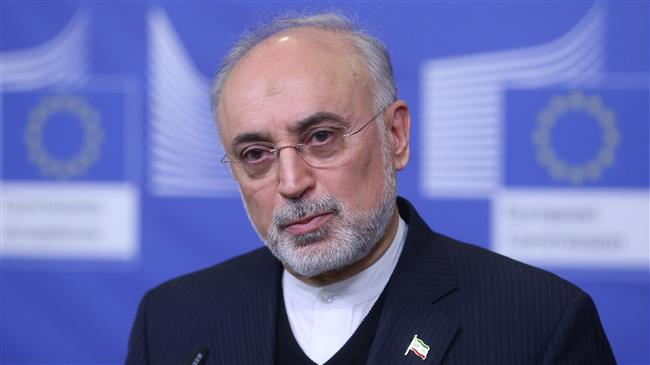 'Arak reactor’s secondary part operational in 3 weeks'