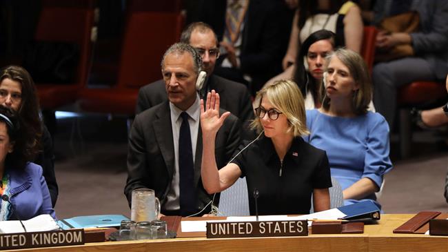 Russia, US veto European statement on Turkey's Syria action