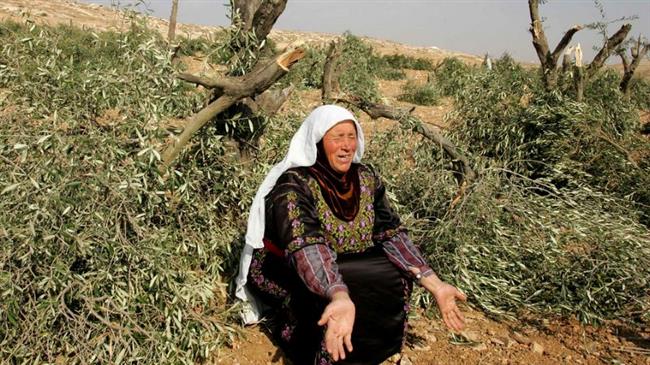 ‘Intl. apathy to Palestinian sufferings emboldens Israel’
