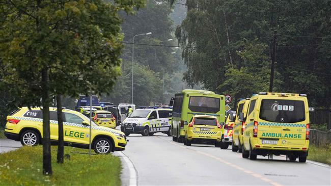 Norwegian police arrest gunman after ambulance rampage