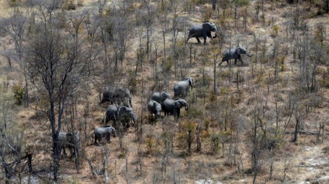 Humanity’s homeland found in ancient Botswana 