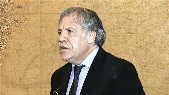 Head of OAS greeted by protesters in London