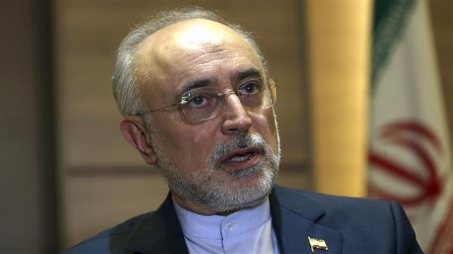 Iran increases daily uranium enrichment capacity: Salehi