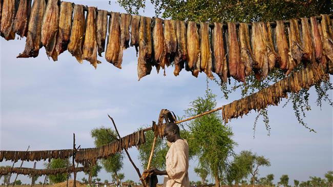 South Sudan faces famine after 'catastrophic' floods: WFP