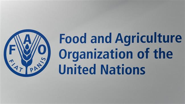 UK Food security plan after Brexit 