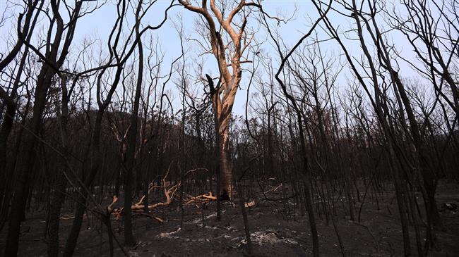 UN warns more extreme weather ahead after hottest decade on record