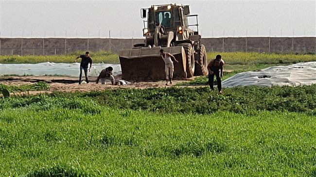 'Israel's desecration of Palestinian body in Gaza war crime'
