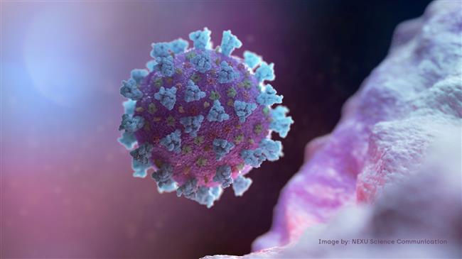 COVID-19: Infections rising globally, China’s outbreak continues to slow down