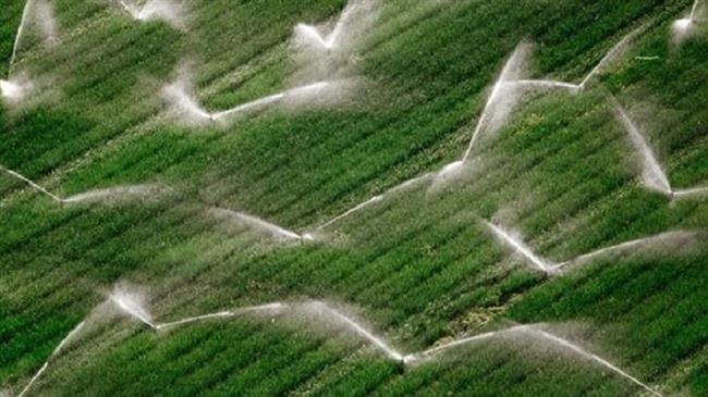 Iran food self-sufficiency over 80%: Minister