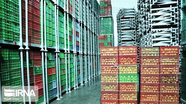 ‘Iran earned $5.8bn from agrifood exports till March’