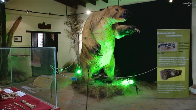 700,000-year-old fossil of giant sloth discovered near Buenos Aires
