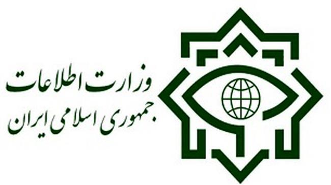 Iran dismantles five spy teams tied to foreign intel services  