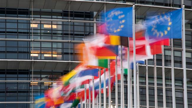 EU urged to boycott Saudi G20 summit over human rights violations