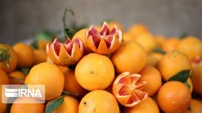 ‘Emiratis prefer Iranian fruit over cheap Israeli produce’