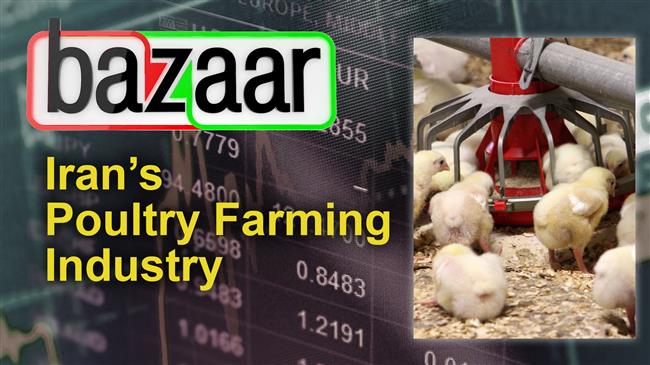 Poultry farming industry