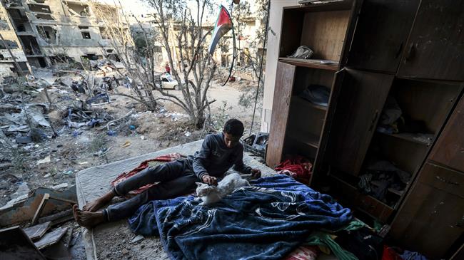 Gaza agricultural sector loses $204 million due to Israeli offensive 