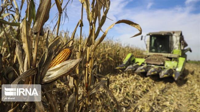 Iran’s agrifood exports up 2% y/y in April-May: MAJ