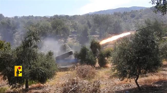 Lebanon’s Amal: Resistance, deterrence key to confronting Israel